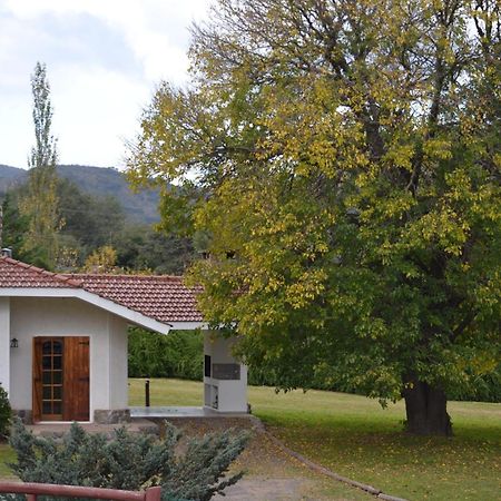 Cabanas Los Algarrobos فيلا جنرال بيلجرانو المظهر الخارجي الصورة